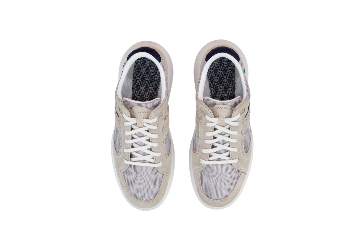 Airolo M moon rock