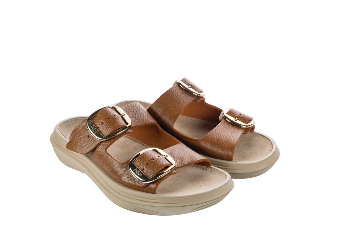 Glarus brown